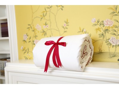 Silk Camel Luxury Allergy-Free Comforter Filled with 100% Natural Long Strand Mulberry Silk for Winter Season (40 to 60 Degree F)